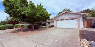 Charming 3BD/2BA, Single-Story, Ranch-Style Home in Broadmoor Area of San Ramon- Available NOW! Gallery 1