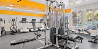 Palms Court Gallery 4