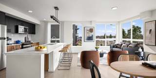 Ion Town Center Gallery 1