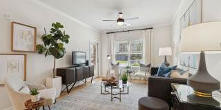 Evergreen at Five Points Gallery 6