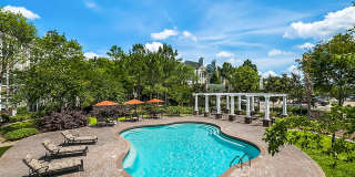 Palmetto Creek Gallery 15