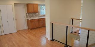 9012 PADDOCK Lane Gallery 19