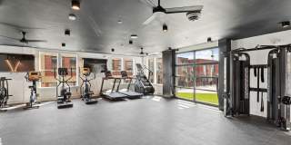 The Navigator The Navigator Gallery 19