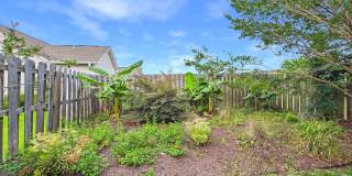 Beautiful 3 bd/ 2.5 house with Renovated Kitchen Gallery 41