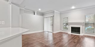 Carrara at Cole Gallery 17