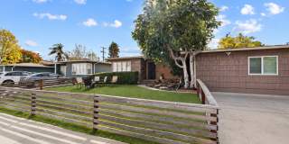 Brand new windows & front yard turf! Brand new windows & front yard turf! Gallery 1