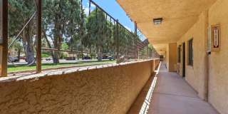 Evergreen Evergreen Gallery 5