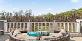 10878 FOXTROT Circle Gallery 33