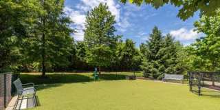 Mira Upper Rock Gallery 40