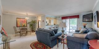 9340 N 92ND Street unit: 204 Gallery 1