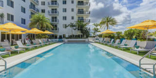 Altis Little Havana Gallery 23