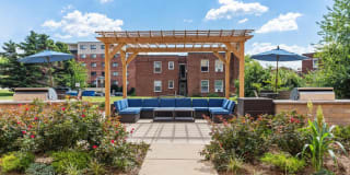 Wood Lee Arms Gallery 57