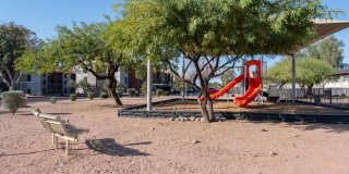 Renaissance Gallery 39