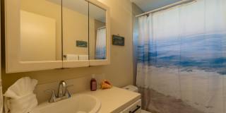 308-1-F-HL Gallery 33