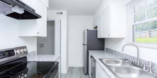 Adar at Golden Gate Gallery 2