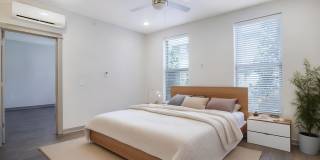 Thrive Argenta Gallery 83