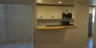 2 Bedroom, 2 Bathroom Condo Gallery 7
