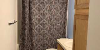 AVAILABLE NOW! Beautiful 3 bed/ 2 bath Single Family Home Gallery 6