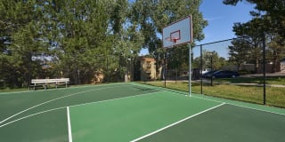 Sage at Panorama Gallery 10