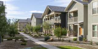 Ironwood at Happy Valley Gallery 21