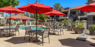 North Mountain Village Gallery 11