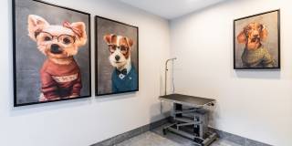 Skyline at Murrayhill Gallery 28