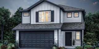 6207 ANTARES Gallery 1