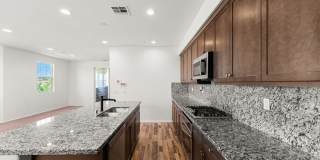 12162 Diamond Dust Dr. 12162 Diamond Dust Dr. Gallery 11