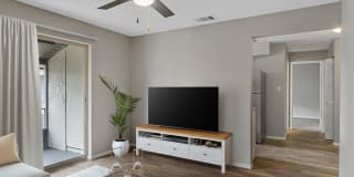 The Palms at Countryside Apartments Gallery 2