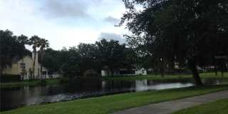 9673 FOX HEARST Road Gallery 11