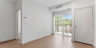 The Lucy Gallery 2