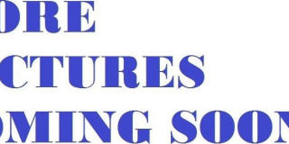 9100 NW 26th Place Gallery 35