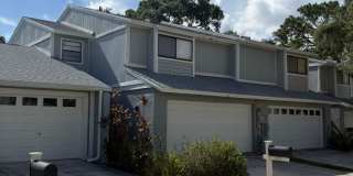 Spacious 3BR Townhome with 2-Car Garage in Tampa Spacious 3BR Townhome with 2-Car Garage in Tampa Gallery 1