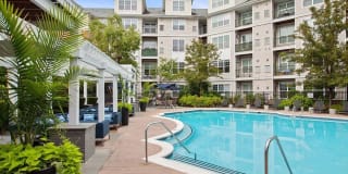 Sofi Lyndhurst Gallery 19