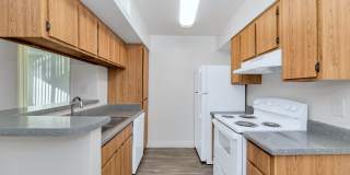 Urban Walk Gallery 20