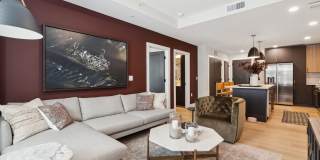 NOVEL Scotts Addition Gallery 44