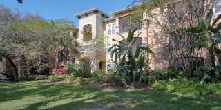 10019 Courtney Palms Blvd Apt 302 10019 Courtney Palms Blvd Apt 302 Gallery 1
