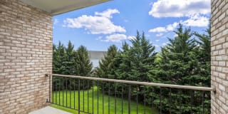 Jefferson Chase Gallery 11