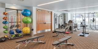 The Grand Gallery 97