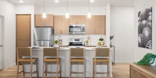 Acero on Roosevelt Gallery 4