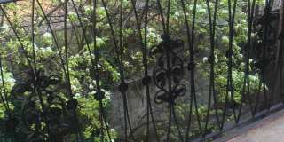 141-44 84th Rd Gallery 2