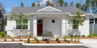 Avilla Silver Palm Gallery 1