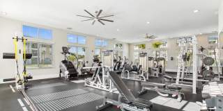 Westshore Palm Bay Gallery 26