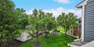 TGM Meadow View Gallery 67