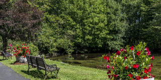 Redwood Hills Gallery 21