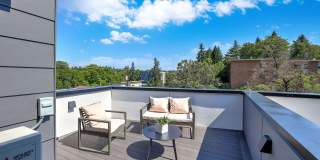 Modern Mount Baker Living Gallery 17