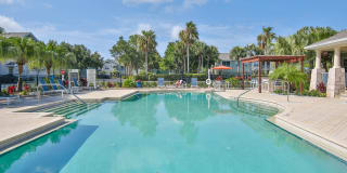 Springs at Palma Sola Gallery 38