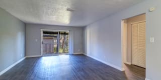 The Rio Gallery 35