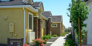 Village at the Blvd Gallery 55