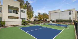 Kensington Kensington Gallery 37